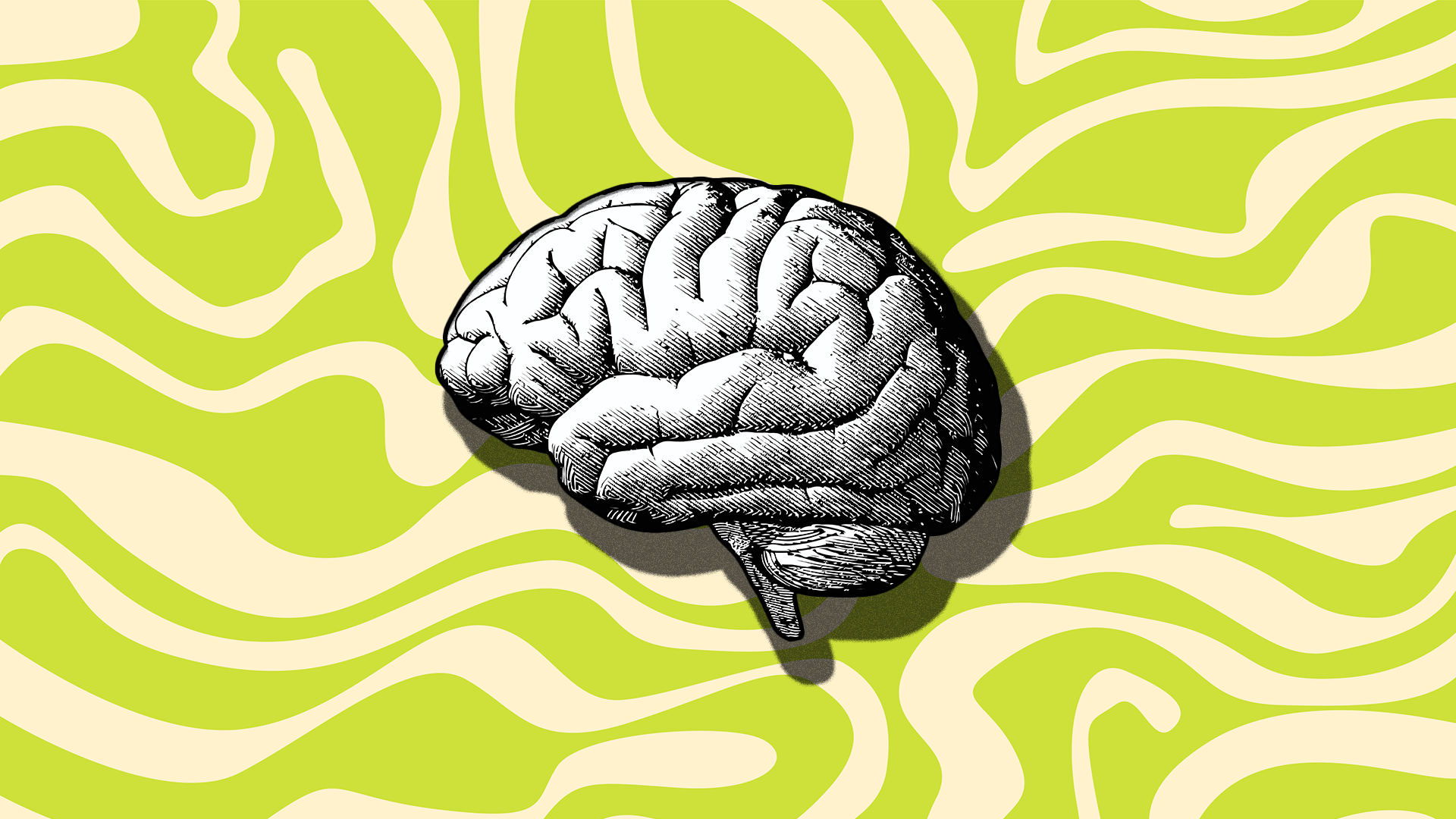 image%20ter%201 image%20ter%201